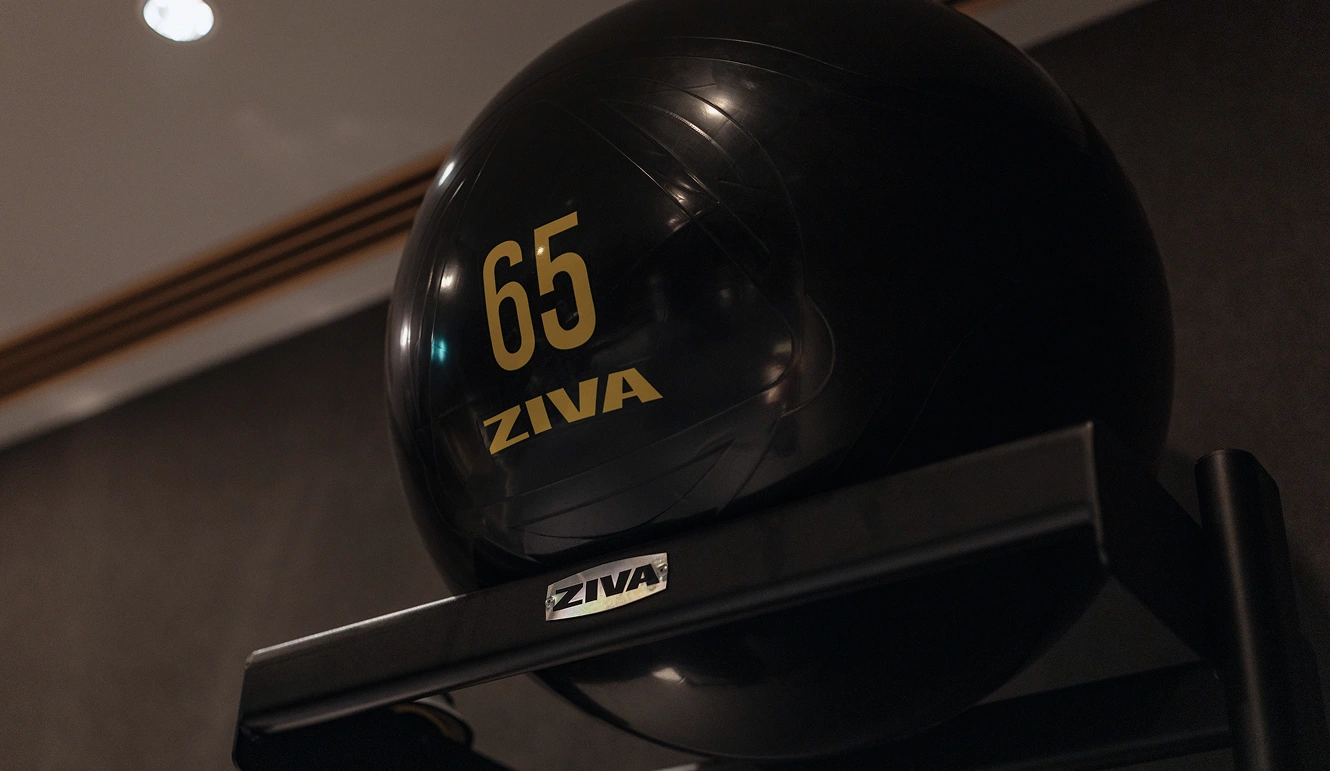 A black balance ball is placed on a rack and has the word ZIVA written on it.