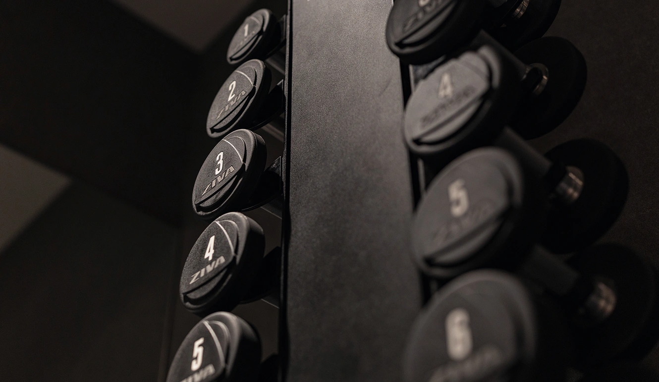 Dumbbells with their weights engraved on them are neatly lined up on a shelf.