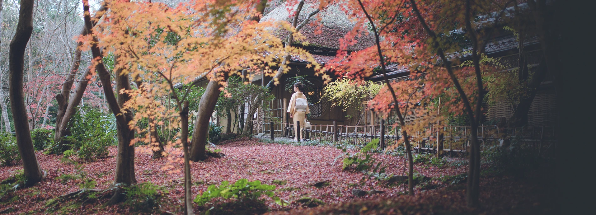 今、ここにしかない京と今日を愉しむ旅をあなたに。