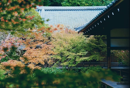 時をかさね、時をこえた 「きょう」の魅力にであう。