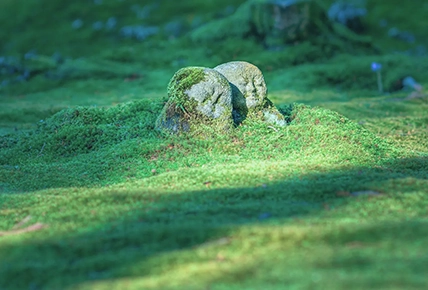 時をかさね、時をこえた 「きょう」の魅力にであう。