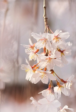 時をかさね、時をこえた「きょう」の魅力にであう。