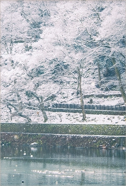 時をかさね、時をこえた「きょう」の魅力にであう。