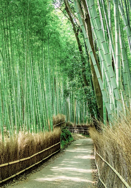 Arashiyama