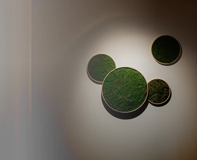 お知らせのページメイン画像