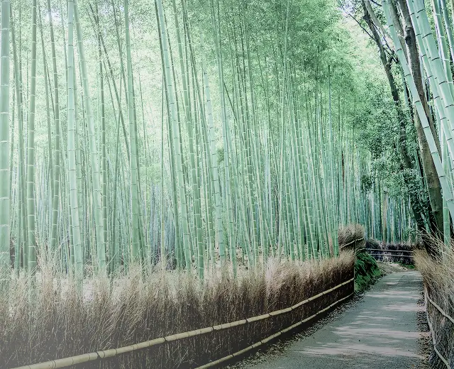 周辺観光のページメイン画像