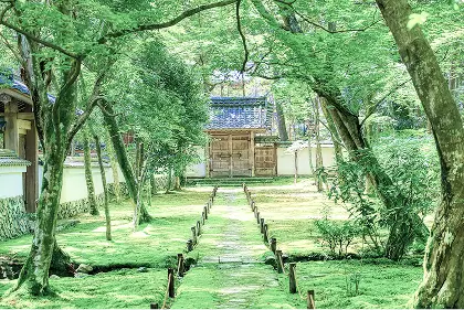 嵯峨野・嵐山エリア